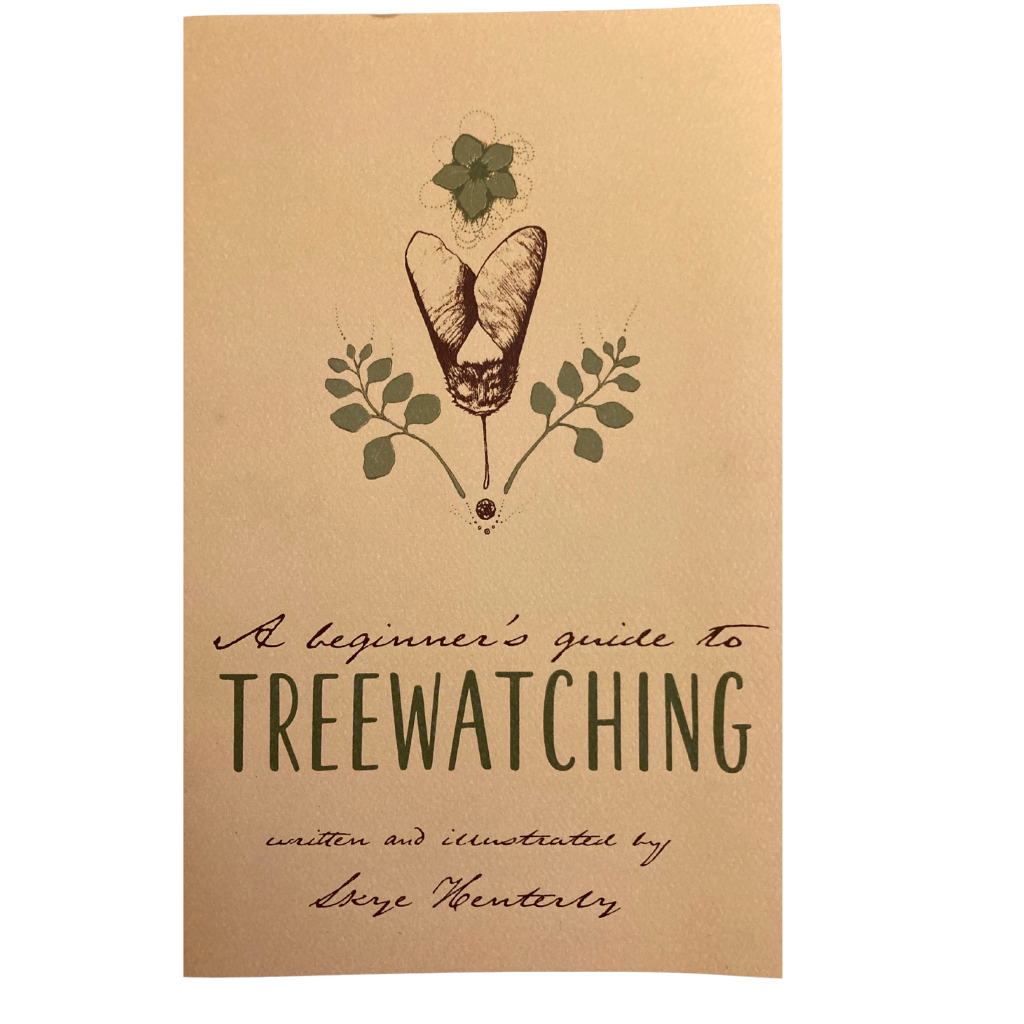 This is your guide to the fast-paced energetic sport of treewatching! Just kidding.  Watching trees is a relaxing way to slow down your life synch up with the natural world and truly breathe and learn to be in peace for a little while.