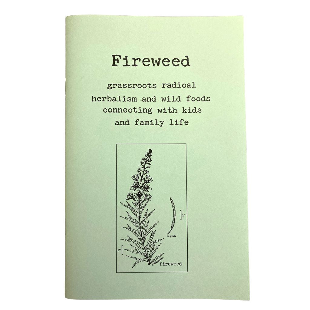 Fireweed Food Fireweed #1: Herbalism & Wild Foods Zine for Kids & Families