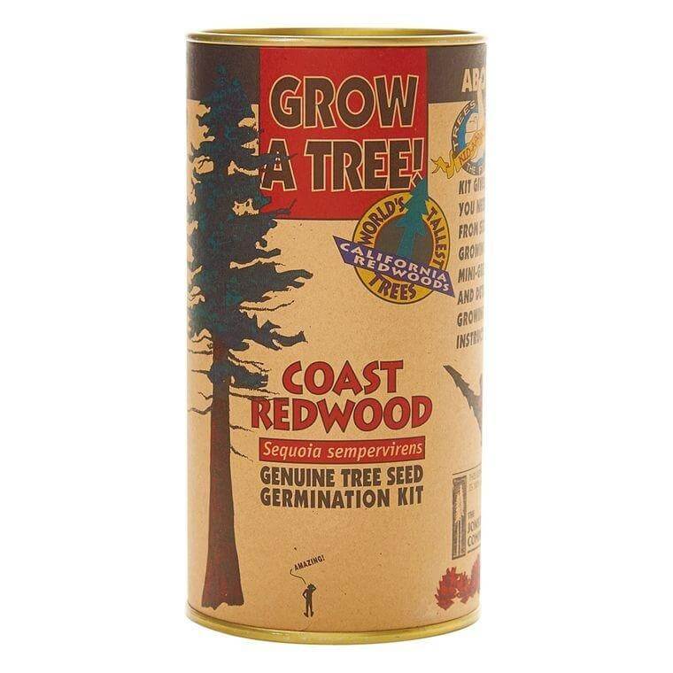 Coast Redwood | Seed Grow Kit The Jonsteen Company