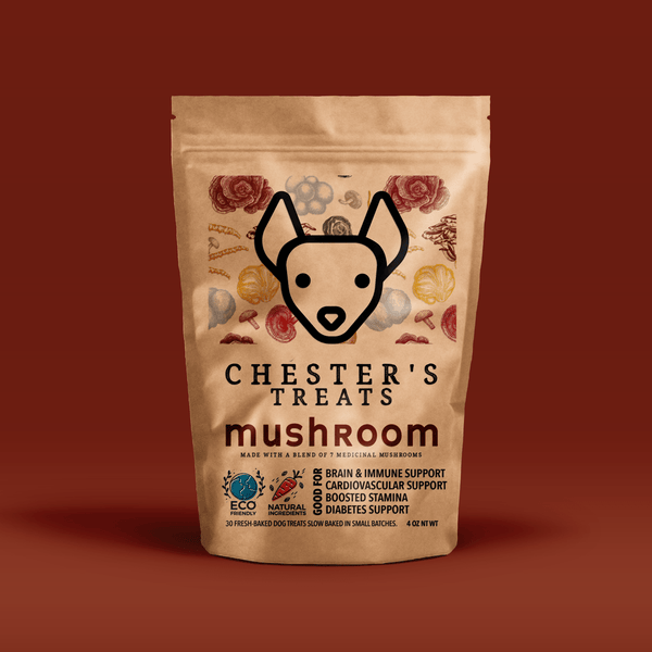 CHESTER's Lion's Mane Dog Treats: Brainpower boost, immune shield, happy heart. Natural dog wellness with medicinal mushrooms. Human-grade, delicious, family-owned love. Unleash your dog's superpowers!