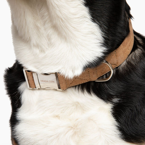 Vegan cork collar for stylish & sustainable large breeds! Waterproof, durable, eco-friendly. Hypoallergenic comfort, PETA-approved. Pamper your pup, love the planet. Order now!