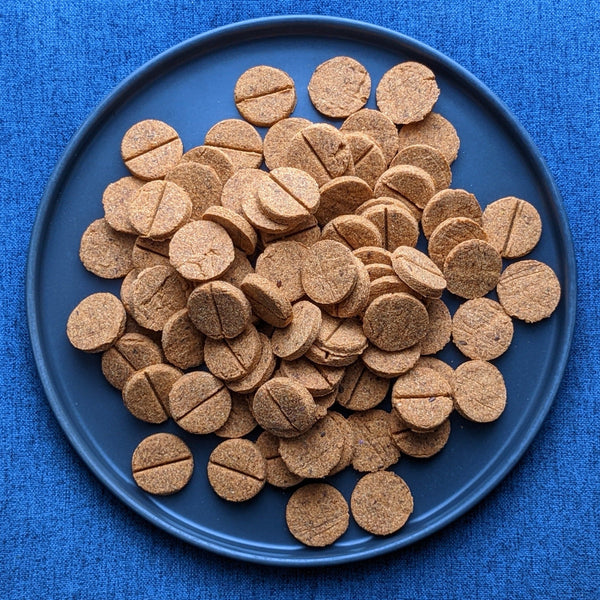 CHESTER's Cozy Crunch: Pumpkin & flaxseed dog treats for happy tummies & wagging tails! Fiber, vitamins, digestion support. Natural, delicious, all pups. Treat your dog's gut!