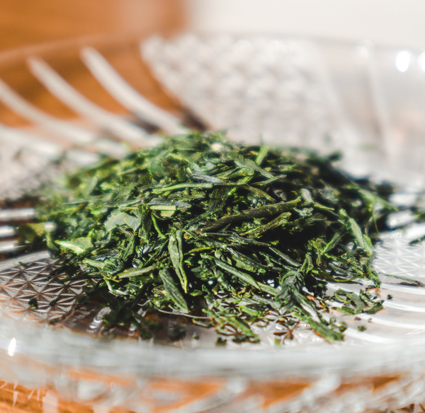 Sencha Green Tea: Japan's Most Popular Tea for a Reason