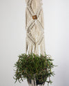 Planter Holder Eco-friendly, Fair Trade, and Handmade The Somoto plant hold features beautiful handmade wood beadwork. Its wavy cotton design reminds us of Nicaragua’s Somoto Canyon, where cliffs naturally formed over millions of years and have created small ponds filled with diverse plants and fish.