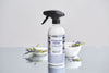 Stainless Steel Cleaner & Polish Kit | Non toxic | recyclable packaging | Plant base Therapy Clean