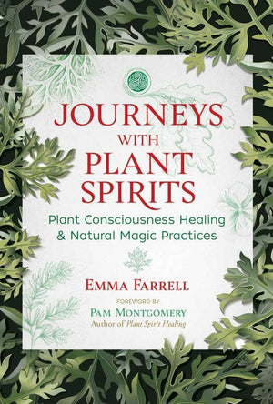 Journeys With Plant Spirits book cover — plant consciousness healing and shamanic wisdom guide published by Microcosm Publishing