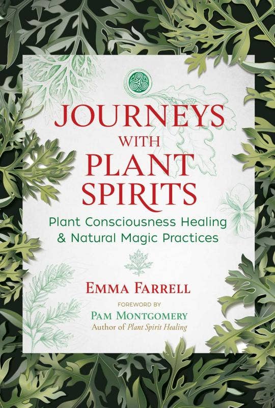 Journeys With Plant Spirits: Plant Consciousness Healing and Natural Magic Practices
